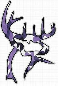 BC Deer - PURPLE CAMO