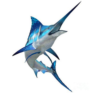 Marlin Color Fish Sticker 3