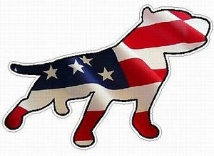 PITBULL STICKER FILLS flag USA