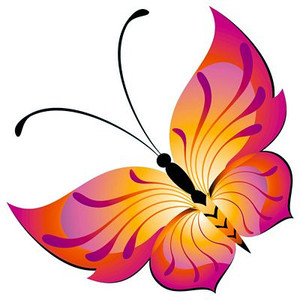 Butterfly Color Window or Wall Sticker 1
