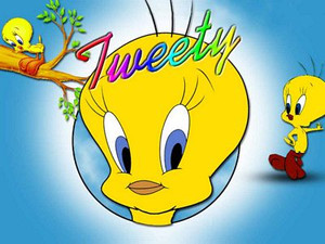 Tweetybird Wallpaper Decal 2