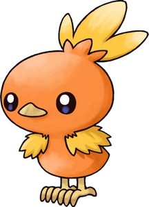 Pokémon Torchic