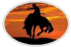 Oval Rodeo Cowboy Decal 11