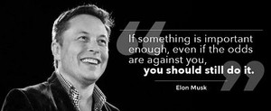 Elon Musk Quote STICKER