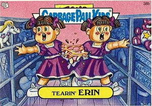 Terin ERIN Funny Decal Name Sticker