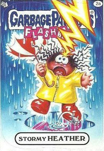 Stormy HEATHER Funny Decal Name Sticker