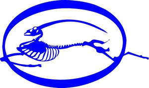CHEVY IMPALA LOGO BONES DECAL