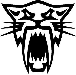 Arctic Cat Wildcat Logo Diecut Racing Decal
