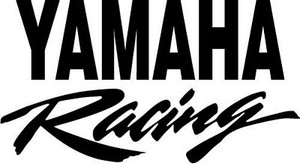 Y Diecut Racing Car Decal