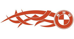 BMW Tribal Mirrored Pair