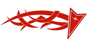 Pontiac Tribal Mirrored Pair