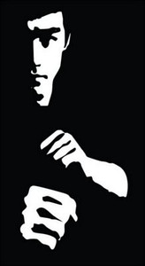 Bruce Lee Vinyl Decal Sticker 4
