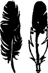 Feather vinyl stickers 784