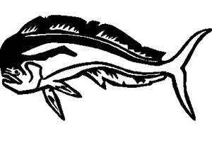 Hawaiian Vinyl Car Decals 13