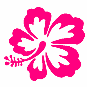 Edelweiss Flower adhesive sticker 983