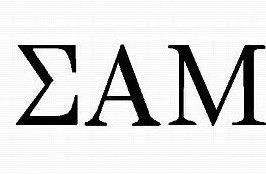 Sigma Alpha Mu F13