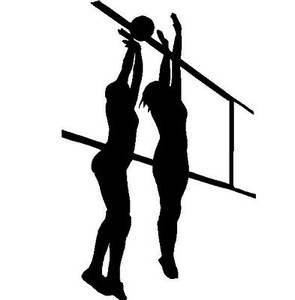 Vollyball Net Adhesive Vinyl Decal