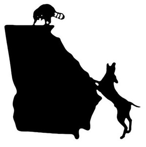 Coon Hunting in Georgia ANY STATE Decal