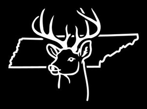 Tennessee ANY STATE OUTLINE Deer Hunting Sticker