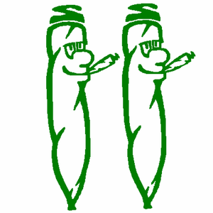 Bluntman decals PAIR 201