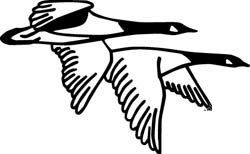 Duck Decals Car Stickers 6