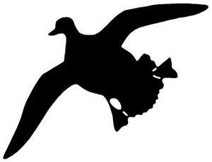 Single Mallard Decal 1630