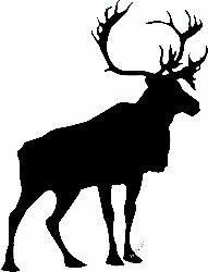 Deer Hunting Decal Sticker 21