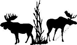Deer Hunting Decal Sticker 54