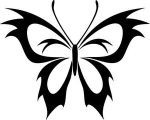 Butterfly Vinyl Window or Wall Decal 5