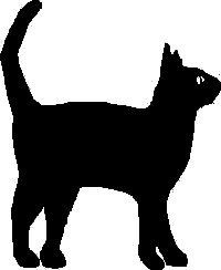 Black Cat Decal 01j