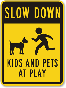 Slow Down Sign