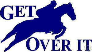HORSE JUMPING EQUESTRIAN RODEO Vinyl Decal