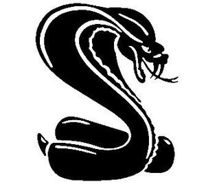 Cobra decal 085