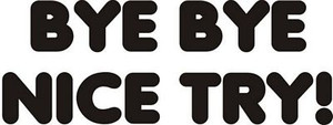 byebye funny auto decal