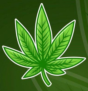weed leaf shaped sticker 420 sticker