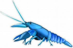 Blue Lobster Fish Sticker 2