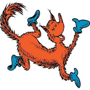 Cat in the Hat FOX IN SOCKS