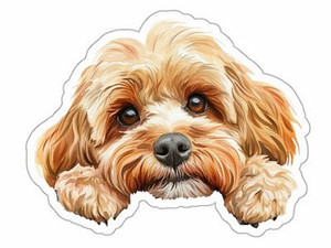 Cockapoo Sticker Peeking Dog Waterproof Vinyl Sticker