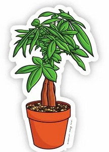 Money Tree plant flower sticker