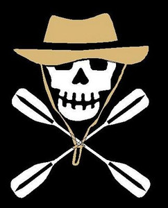 Skull Color Decal