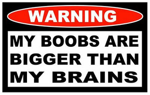 Boobs Bigger Brains Funny Warning Sticker Set