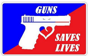 PRO GUN RWB STICKER 2