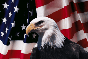 American USA Flag With Eagle