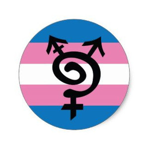 trans pride sticker