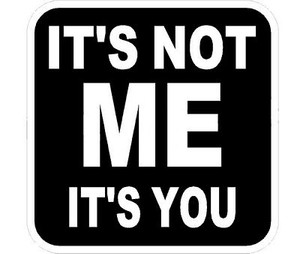 Its Not Me Its You Sticker