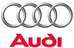Audi car Logo sticker