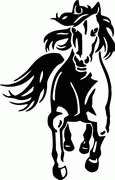 Horse Decals & Stickers