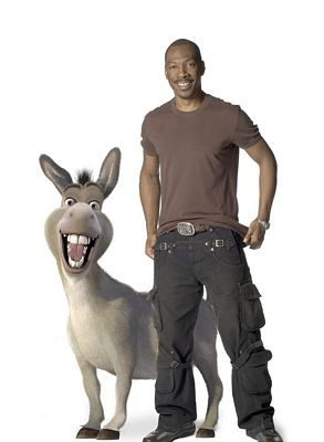 Shrek Decals and Vinyl Wall Graphics 11