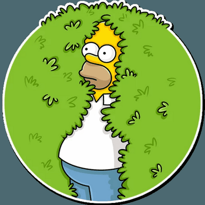 homer jay simpson 40