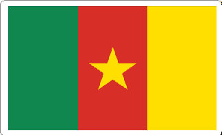 Cameroon Flag Decal